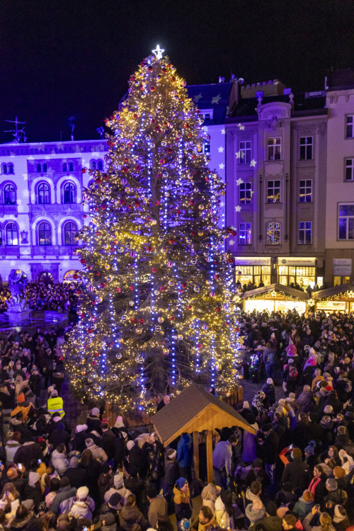 FOTOGALERIE: Vánoční trhy v Olomouc zahájilo rozsvícení stromu