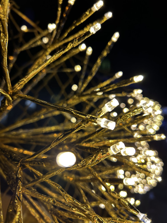 Vánoční dům v Kostelci u Jihlavy