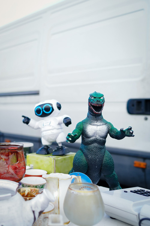 FOTOGALERIE: Jak to chodí na bleších trzích