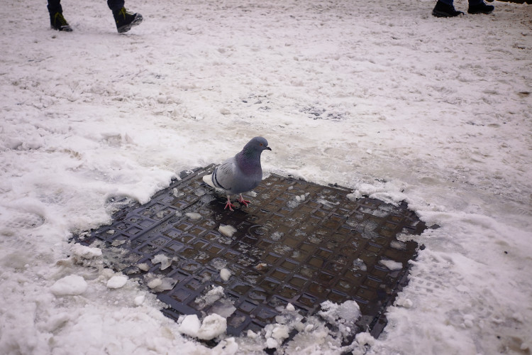 FOTOGALERIE: Zasněžená Praha