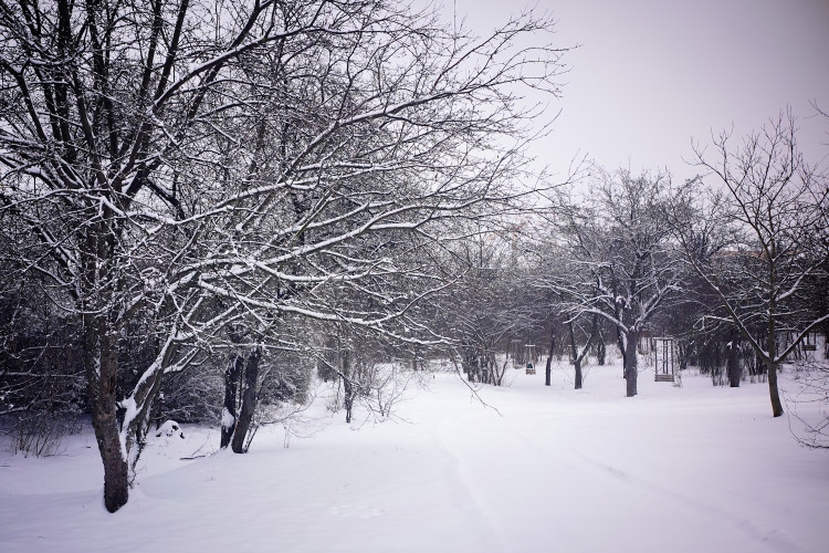 FOTOGALERIE: Zasněžená Praha
