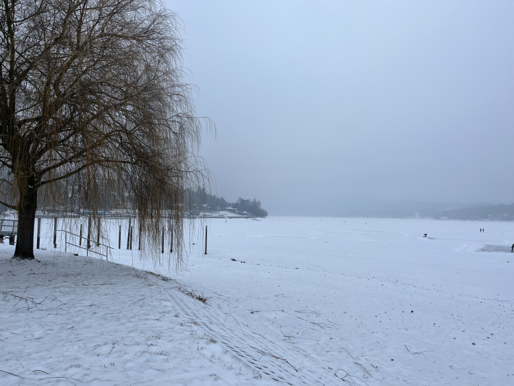FOTO: Brusle i běžky. Na Pryglu dovádí desítky lidí
