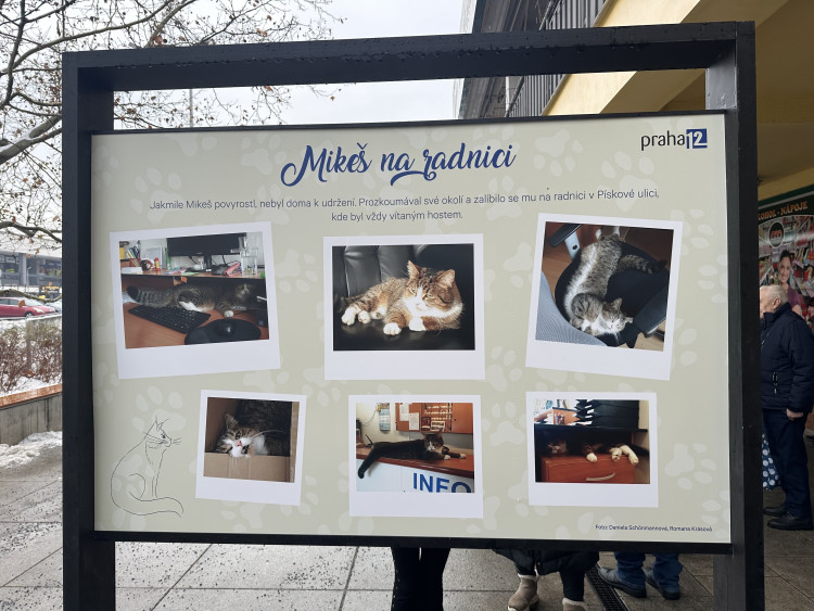 FOTOGALERIE: Socha kocoura Mikeše na Sofijském náměstí
