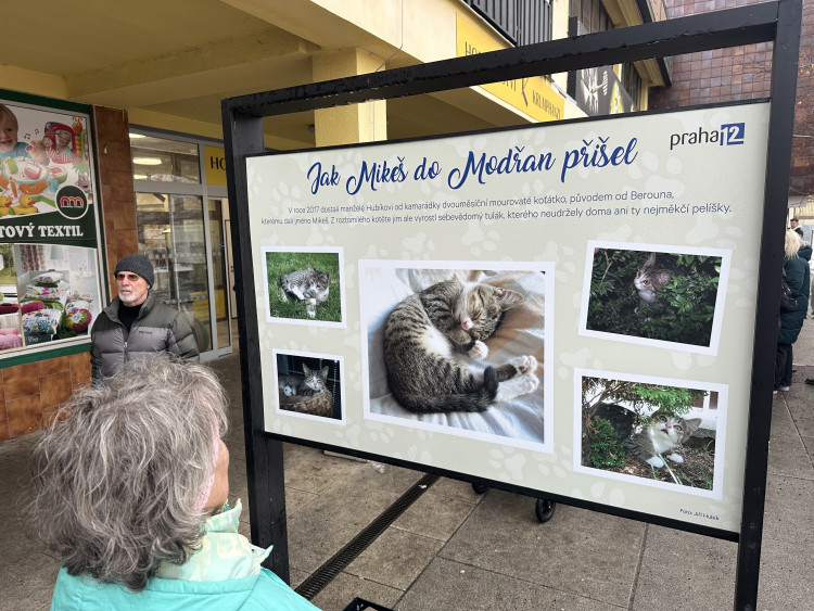 FOTOGALERIE: Socha kocoura Mikeše na Sofijském náměstí