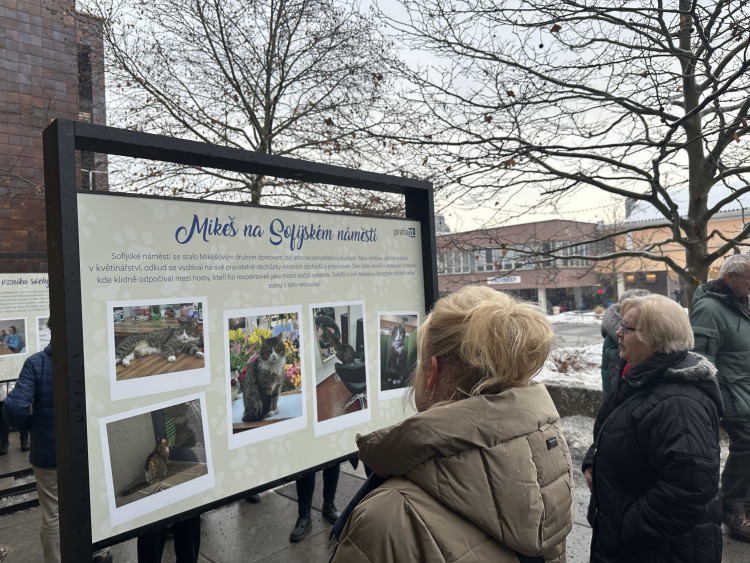 FOTOGALERIE: Socha kocoura Mikeše na Sofijském náměstí