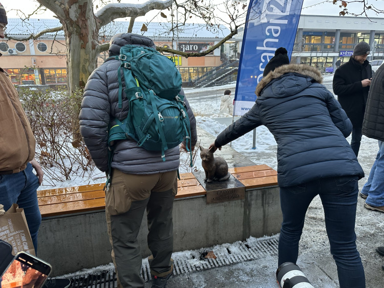 FOTOGALERIE: Socha kocoura Mikeše na Sofijském náměstí