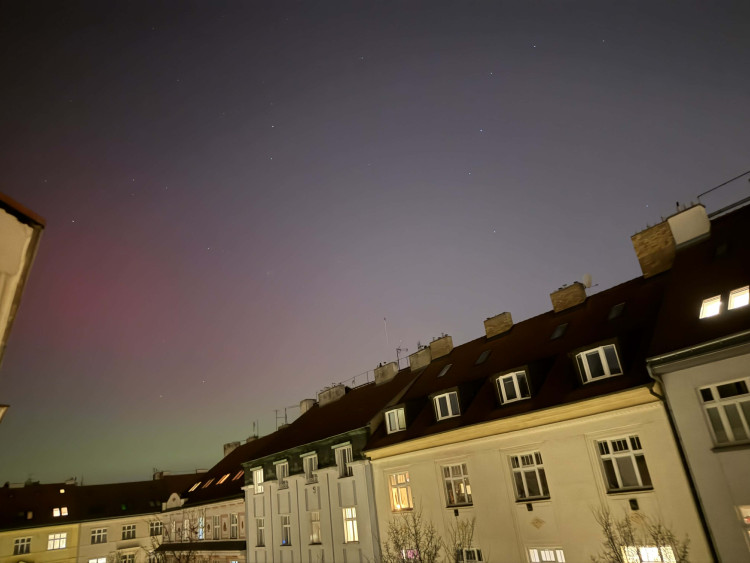 Barbora Genser, Dejvice