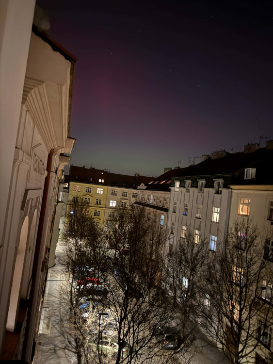 Barbora Genser, Dejvice