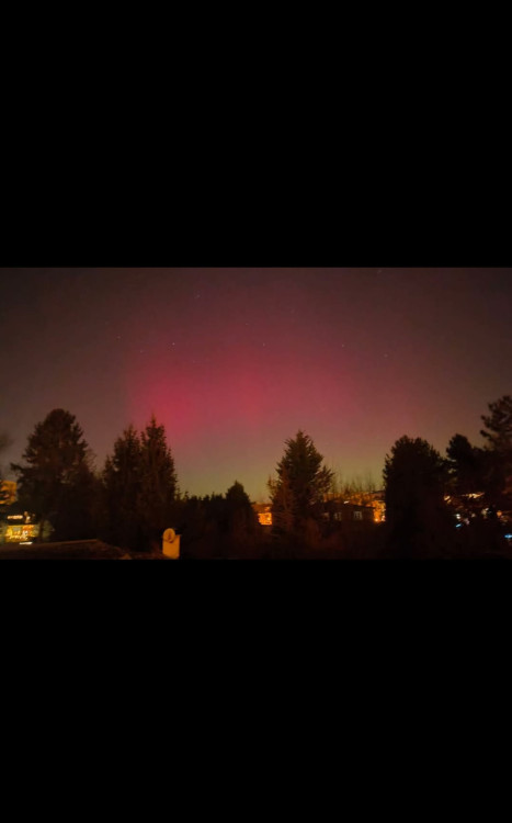 Romana Janhunenová, Liboc