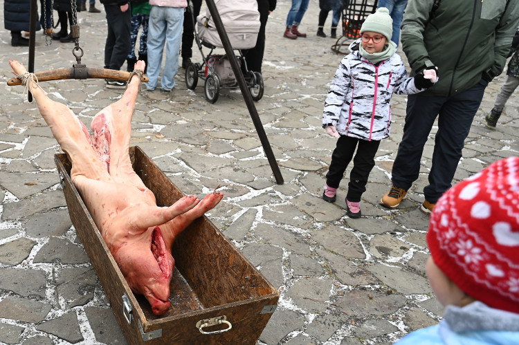 Masopust na hradě. Nechyběla ani nefalšovaná zabíjačka