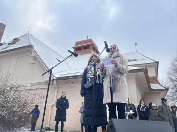 Demonstrace Stojíme za prezidentem v Jihlavě