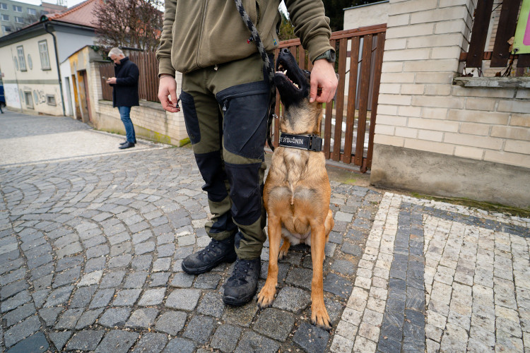 FOTOGALERIE: Prezident Pavel na Buďánkách
