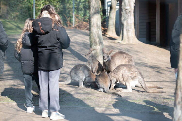 FOTOGALERIE: Zvířata pražské zoo si užívají slunečného počasí
