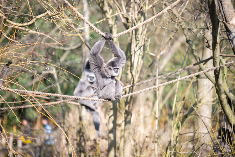 FOTOGALERIE: Zvířata pražské zoo si užívají slunečného počasí