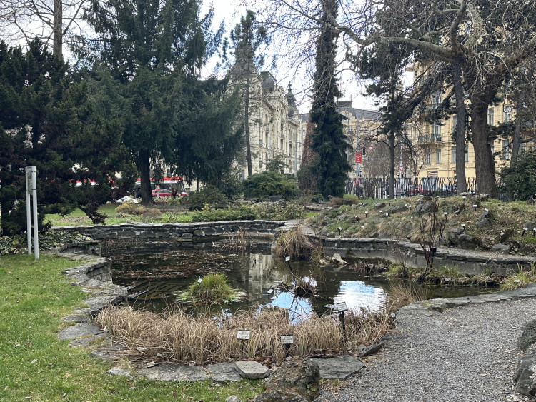 FOTOGALERIE: První květy i svěží zeleň. Brněnská botanická zahrada se probouzí