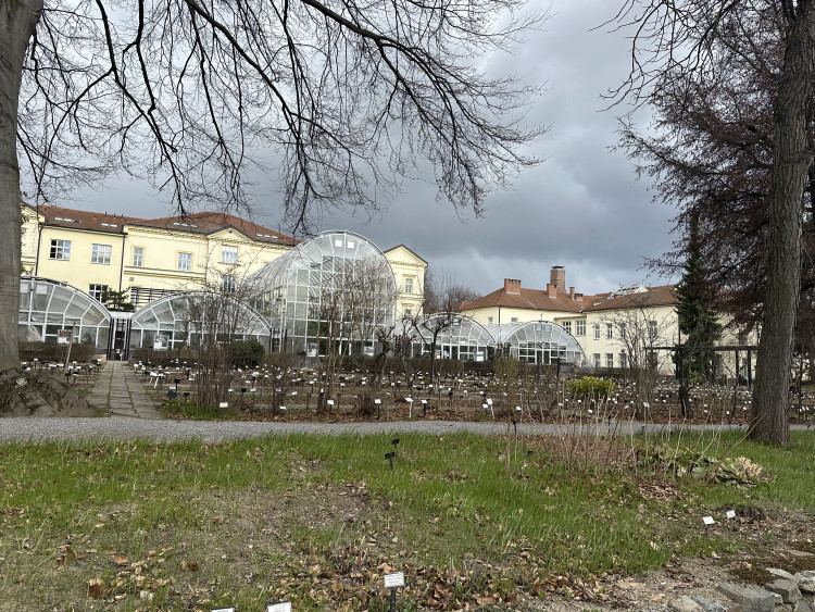 FOTOGALERIE: První květy i svěží zeleň. Brněnská botanická zahrada se probouzí