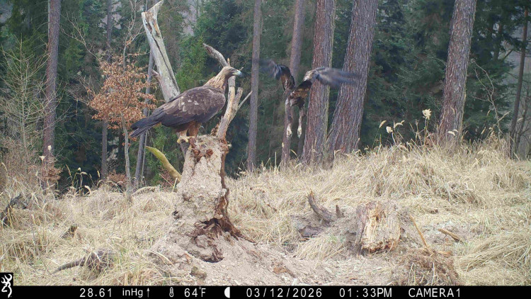 FOTO: V centru Ostravy hoří panelák, kolemjdoucí děsí plameny a hustý dým