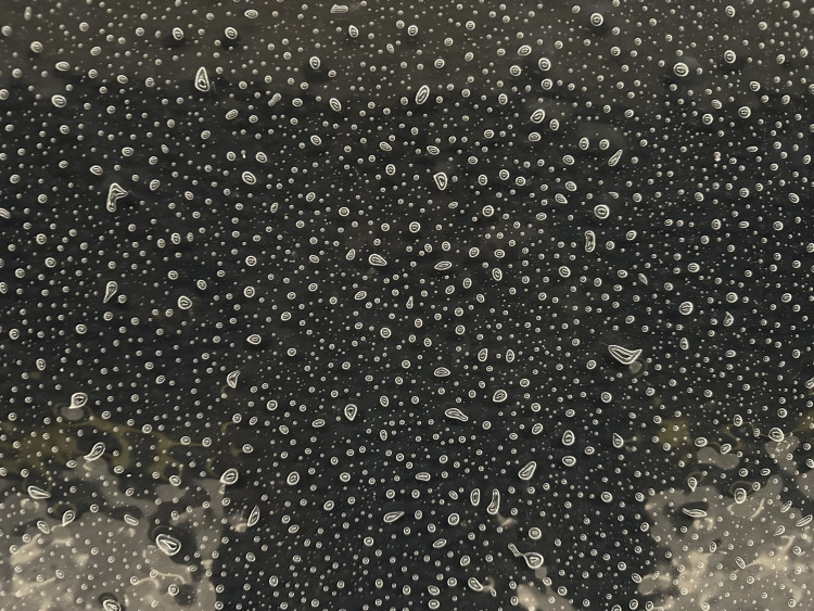 FOTOGALERIE: Stanice Českomoravská po modernizaci