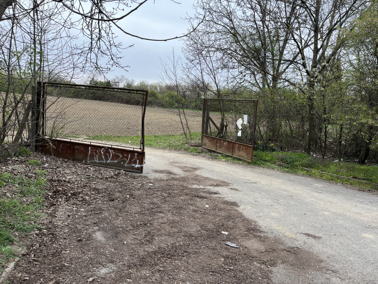 FOTO: Procházka ovocným sadem. Broskvoně v Bohunicích jsou v plném květu