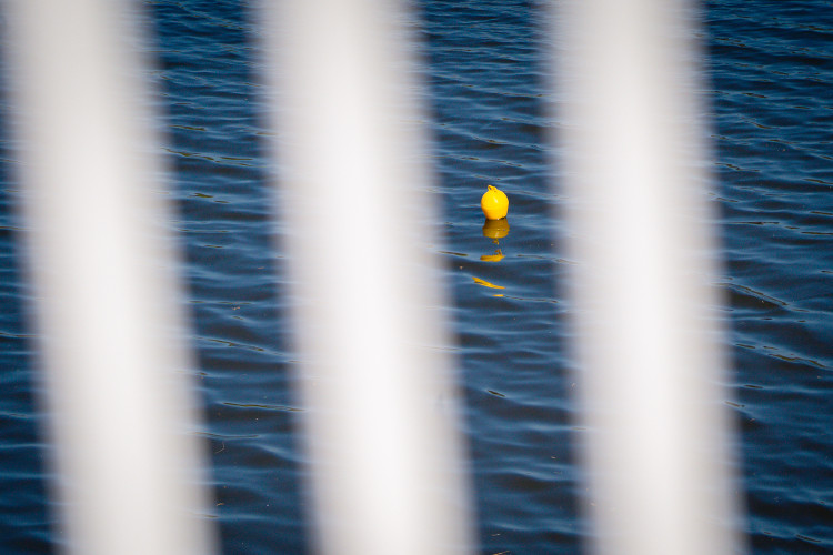 FOTOGALERIE: Dvorecký most pohledem architekta