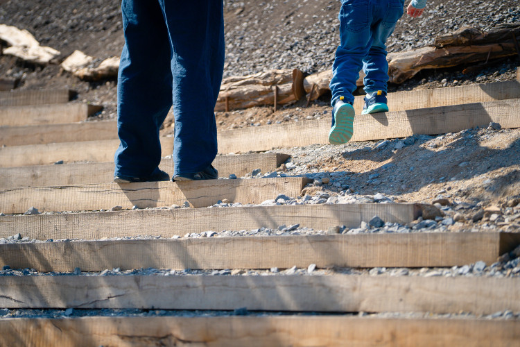 FOTOGALERIE: Dvorecký most pohledem architekta