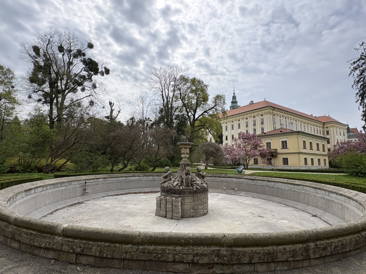 FOTOGALERIE: Jen hodinu od Brna. V Kroměříži okouzlí kvetoucí magnolie i pávi na procházce