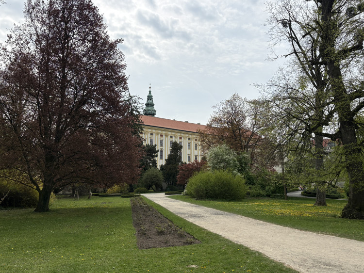FOTOGALERIE: Jen hodinu od Brna. V Kroměříži okouzlí kvetoucí magnolie i pávi na procházce