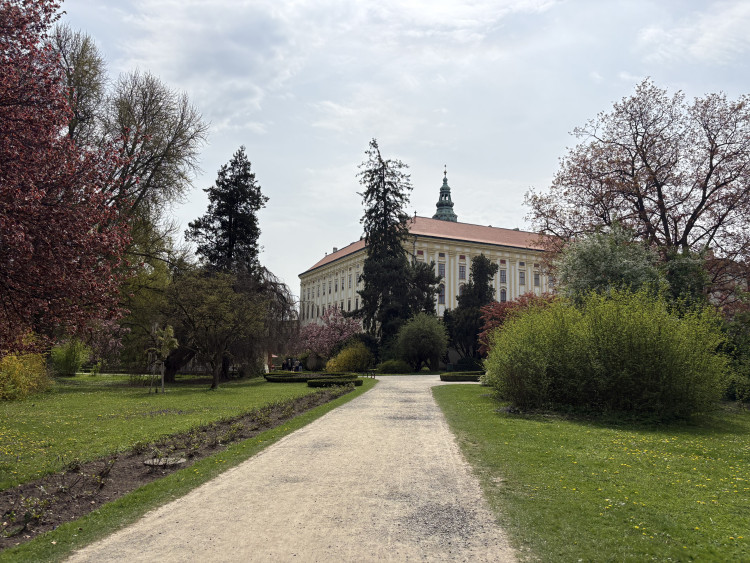 FOTOGALERIE: Jen hodinu od Brna. V Kroměříži okouzlí kvetoucí magnolie i pávi na procházce