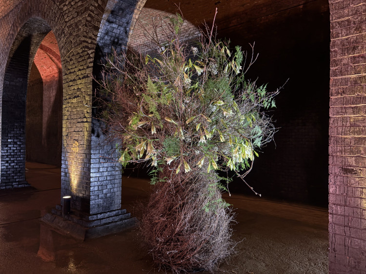 FOTO: Květiny zaplnily brněnské podzemní chrámy, instalace inspirovala voda