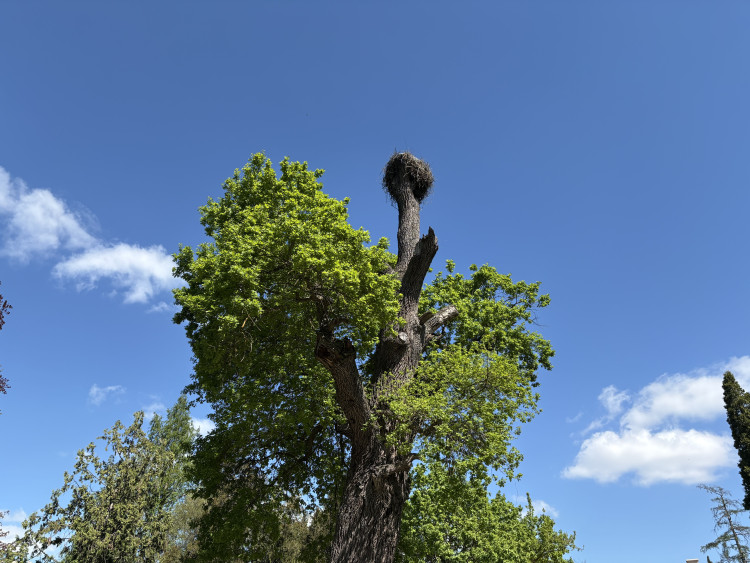 FOTO: Rozkvetlé zahrady i prosluněná kolonáda. Lidé si užívají jaro v Lednici