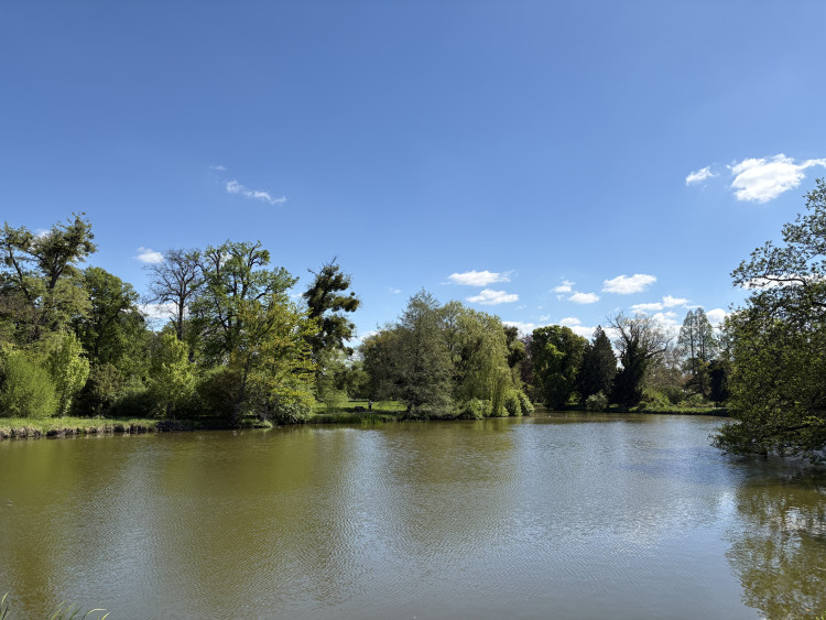 FOTO: Rozkvetlé zahrady i prosluněná kolonáda. Lidé si užívají jaro v Lednici
