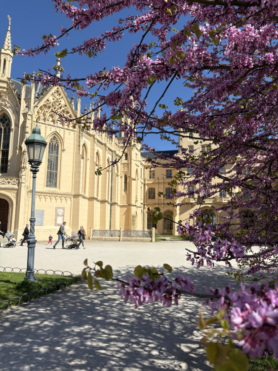 FOTO: Rozkvetlé zahrady i prosluněná kolonáda. Lidé si užívají jaro v Lednici