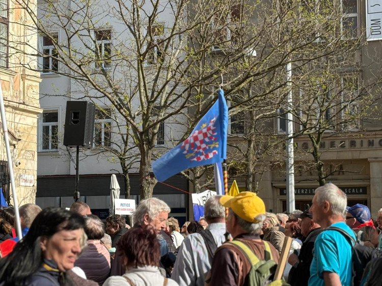 FOTOGALERIE: V Brně se protestovalo proti sjezdu sudetských Němců.