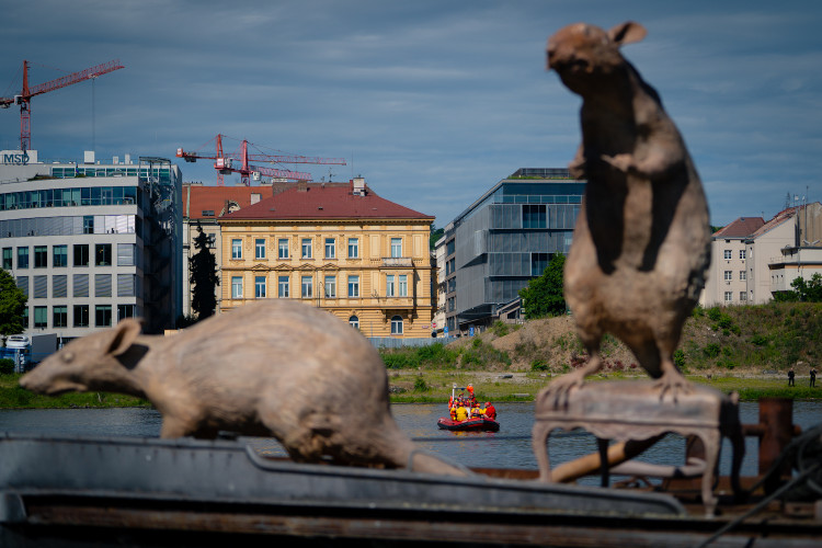 FOTOGALERIE: Na Vltavě se srazily dvě lodě. Složky IZS cvičily scénář tragické nehody