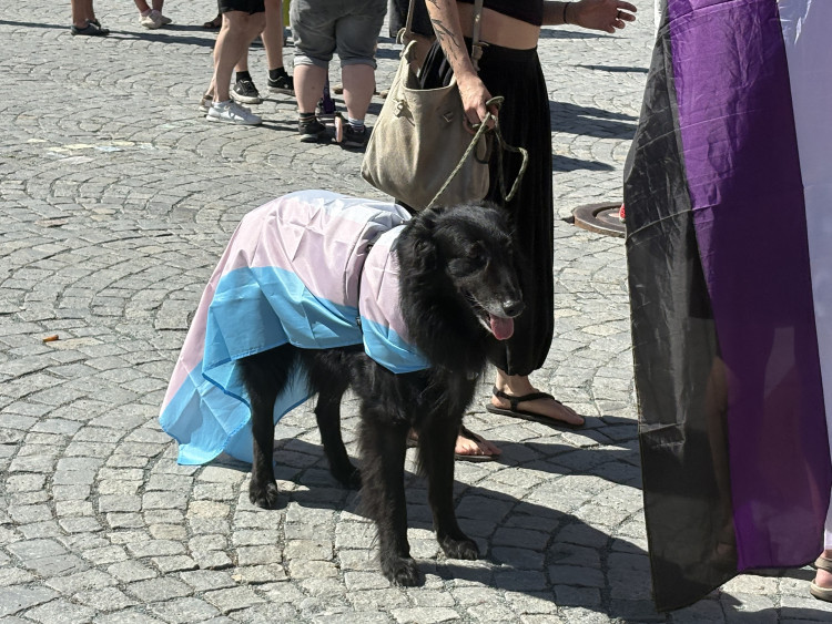 FOTO: Brnem prošly stovky lidí v duhovém průvodu, dorazily celé rodiny i politici