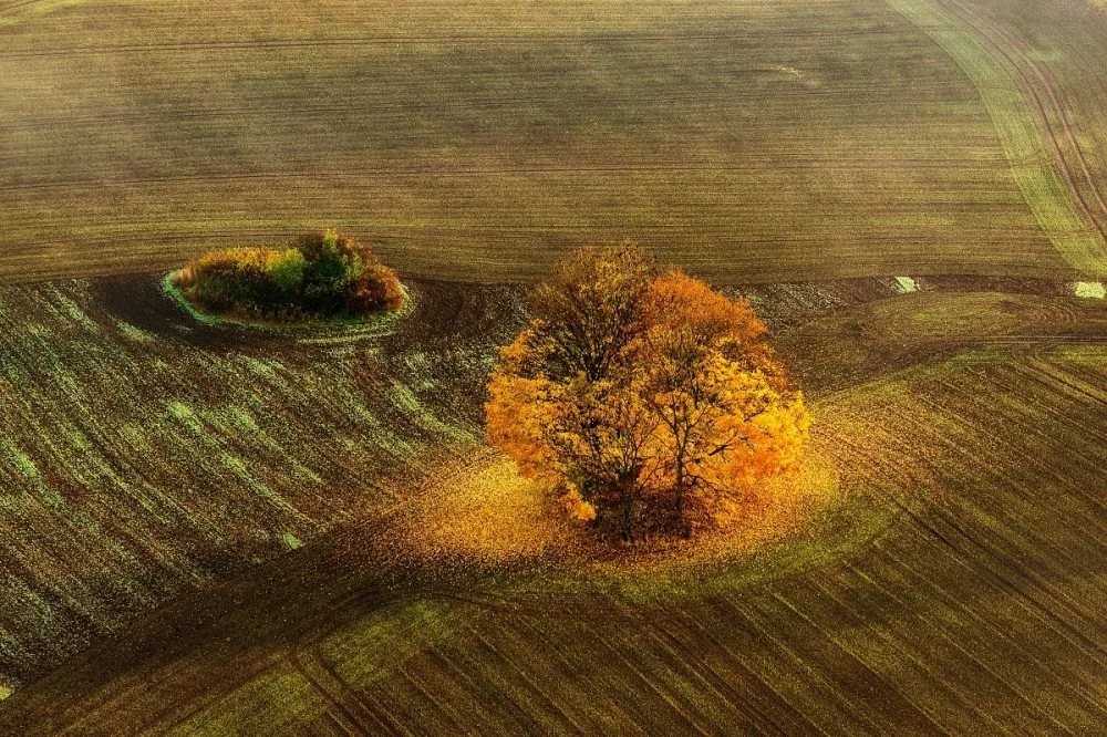 Ilustrační fotografie
