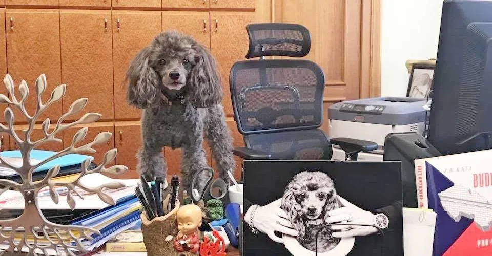 ilustrační foto.