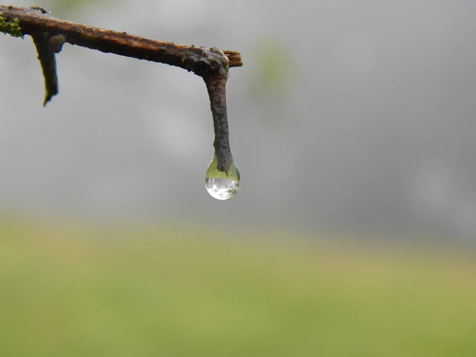 ilustrační foto.