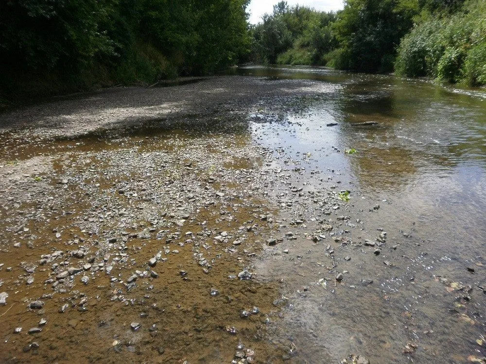 ilustrační foto.