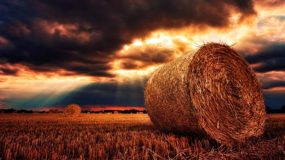 ilustrační foto.