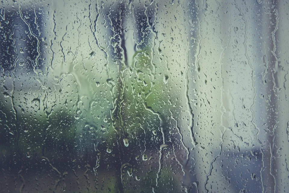 ilustrační foto.