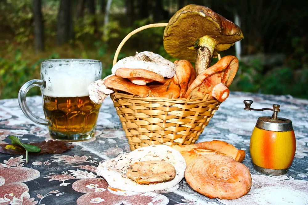 ilustrační foto.