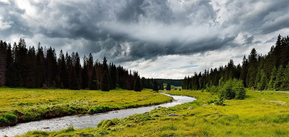 Šumava.