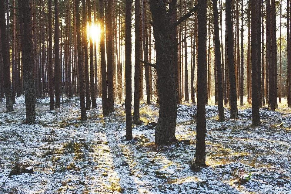 ilustrační foto.