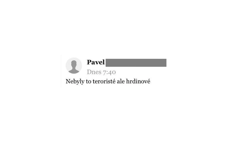 Jeden z komentářů na internetu.