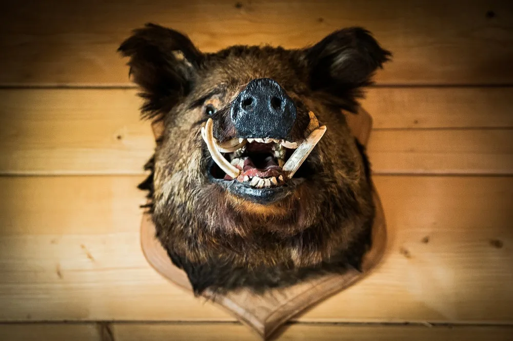 ilustrační foto.