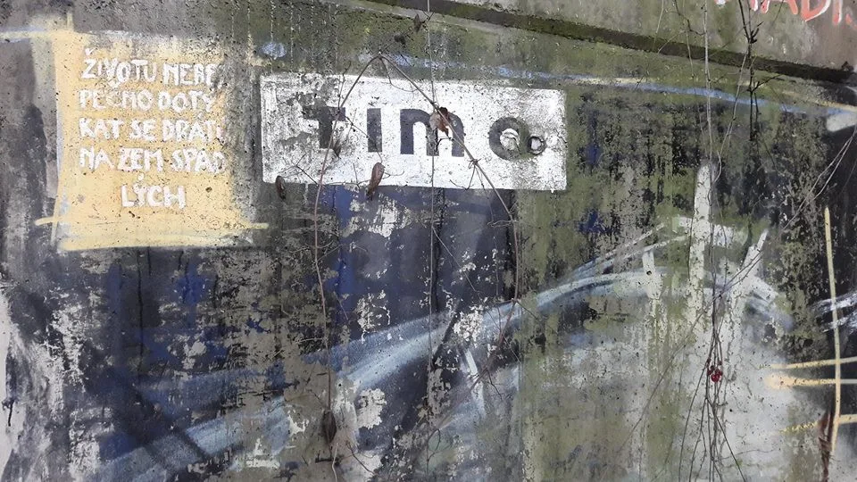 Brněnský fenomén Timo vydává knížku, přispívají na něj fanoušci.
