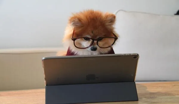 rsz_cookie-the-pom-gysmaocsdqs-unsplash-2