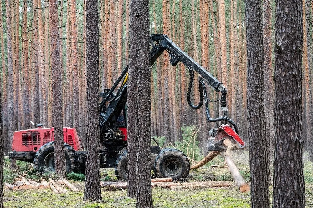 ilustrační foto.