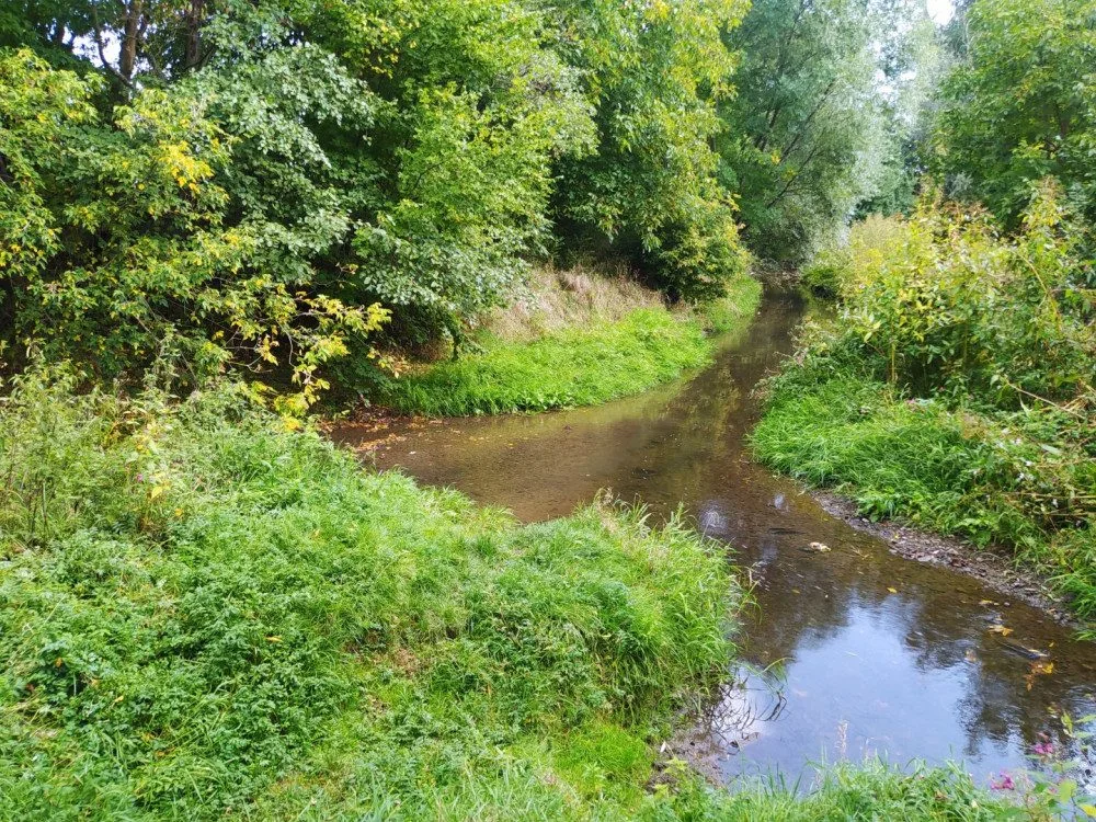 Prostějov chce ve Vrahovicích postavit nový park. Hloučelu však likviduje, namítají kritici